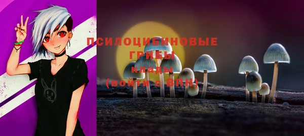 гидропоника Бердск