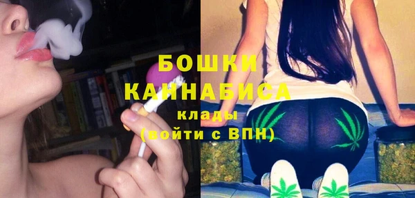 крисы Михайловск