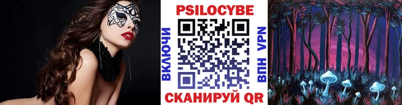 блэк спрут ссылка  Циолковский  Галлюциногенные грибы Psilocybe 